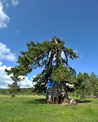 denizli-gezenin-gunlugu-karagol-karayip-gokcay-kurumadan-6