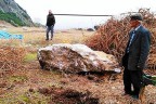 Dev taşlar mahallelinin üzerine yağıyor
