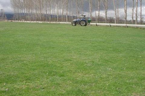 9 ilçede 43 bin dekar alanda mera ıslah çalışması
