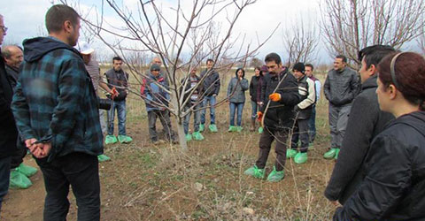 denizli-tarim-agac-budama-egitimi-1