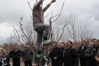 Uygulamalı budama eğitimi