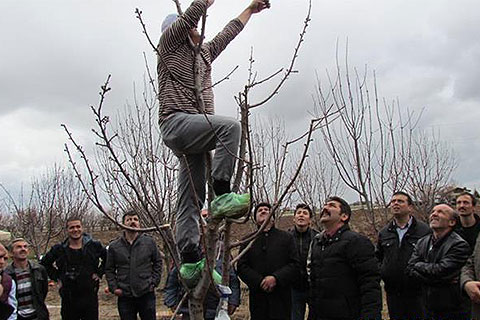 Uygulamalı budama eğitimi