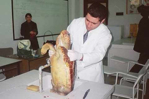 DEKAMER Müdürü yurt dışındayken yerine atama