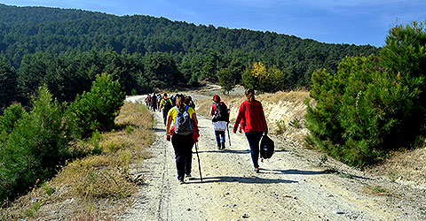 denizli-zeki-akakca-gezenin-gunlugu-gulalan-kestane-deresi-5