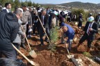 Beyağaç ve Tavas’ta ağaçlandırma atağı