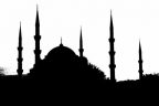 Camilerde paralel operasyonu
