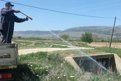 Çivril sineklerden arındırılıyor