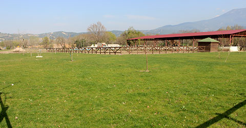 denizli-atli-spor-külübü-kir-dügünü-2