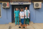 3 ayda 300 sokak hayvanı sahiplendirildi