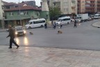 Keyiflerini hiçbir şey bozamadı