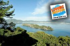 Marmaris’te yoldan çıkmak