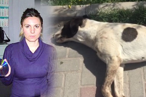 Bunu yapanlar bulunmalı ve cezalandırılmalı