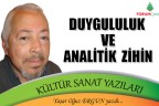 DUYGULULUK VE ANALİTİK ZİHİN