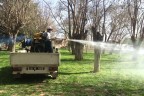 Tavas’ta ilaçlama başladı