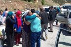 Kınalı kuzulara görkemli karşılama