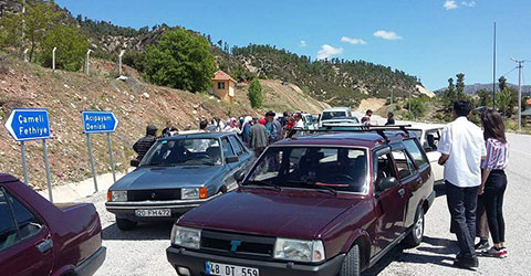 cameli-asker-ic