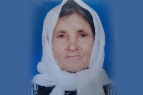 80 yaşındaki kadın kayboldu