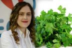 Her derde deva: Maydanoz