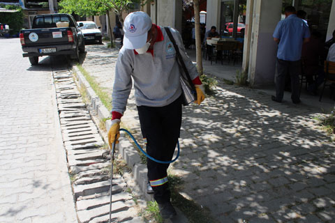 Pamukkale’de ilaçlama ücretleri yeniden belirlendi