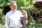 Bu ailenin horoz tutkusu bir başka