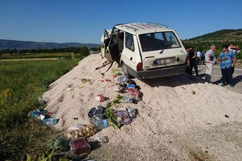 Piknik yolunda kaza: 1 ölü, 6 yaralı