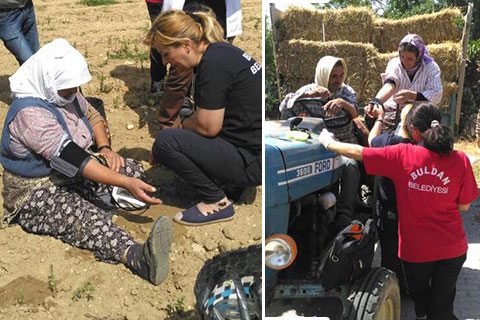 Buldan’da tarlada sağlık kontrolü