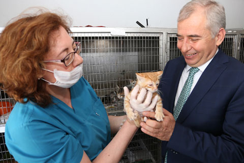 Zolan,Sokak Hayvanları Kliniği’nde