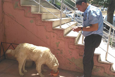 Çal’da sokağa su koy kampanyası