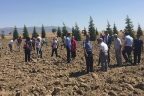 Çardak Kaymakamlığı hatıra ormanı oluşturuldu