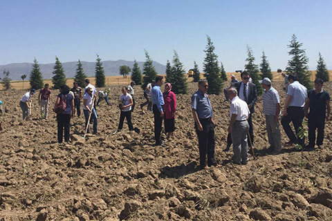 Çardak Kaymakamlığı hatıra ormanı oluşturuldu