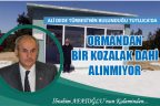 Ormandan bir kozalak bile almıyorlar