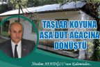 Taşlar koyuna, asa dut ağacına dönüştü