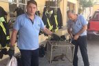 İtfaiye bu kez gelincik operasyonunda