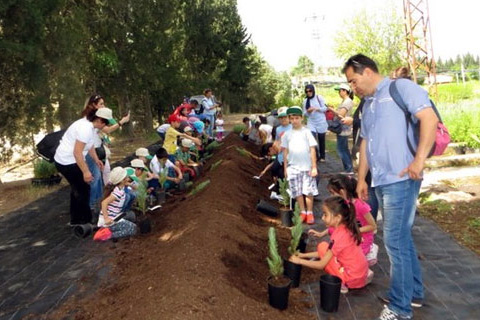 Fidan yetiştirmenin aşamalarını gördüler
