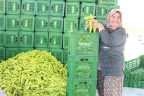 Çal, Kale’ye rakip oldu