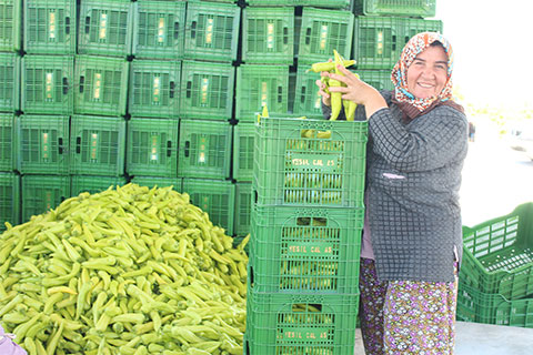 Çal, Kale’ye rakip oldu