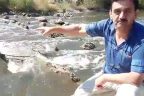 Dalaman Çayı’nda kirlilik isyanı