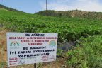 İyi tarım uygulaması yayılıyor