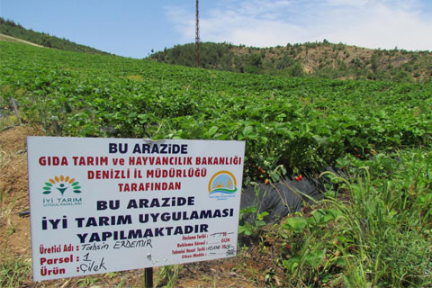 İyi tarım uygulaması yayılıyor