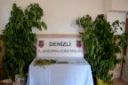 Jandarmadan 10 günde 22 uyuşturucu operasyonu