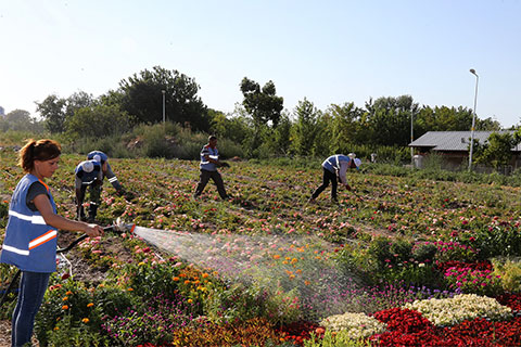 Pamukkale’de yeşil alanlar çiçeklendirildi