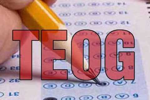 TEOG tercih süresi uzatıldı