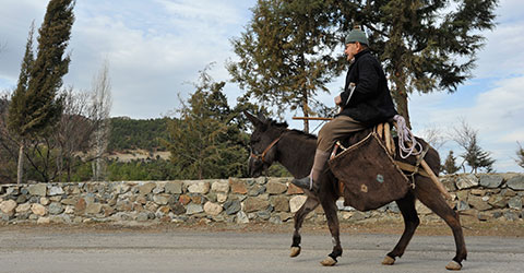 denizli-zeki-akakca-aci-gol-yedek-4