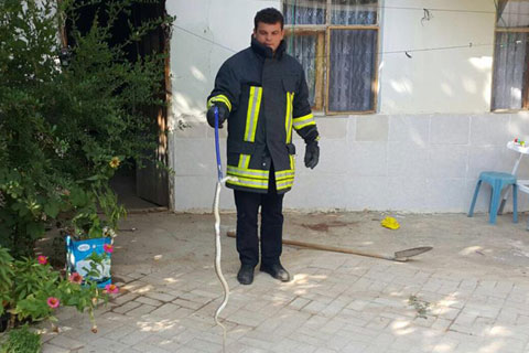 Yeşilyayla’da yılan operasyonu