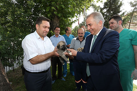 Zolan’dan hayvanseverlere çağrı