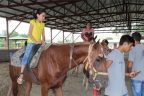 Hippoterapi ile motovisyon sağlıyorlar