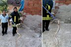 Babadağ’da yılan operasyonu