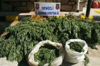 Jandarma operasyonunda 8 kilo esrar ele geçirildi