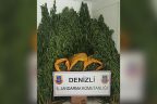 Jandarma’dan büyük operasyon