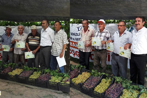 Honaz’da 25 bağ çiftçisi uygulamalı eğitimle bilinçlendi
